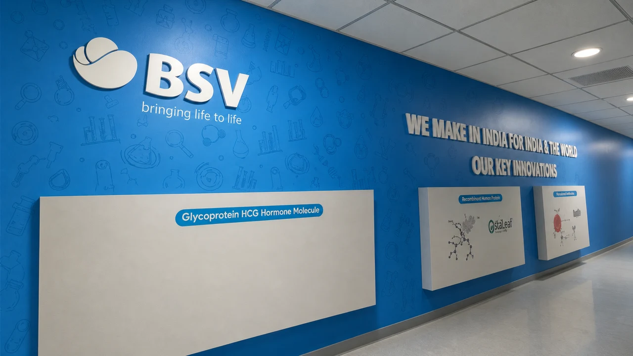 BSV signage, installed view