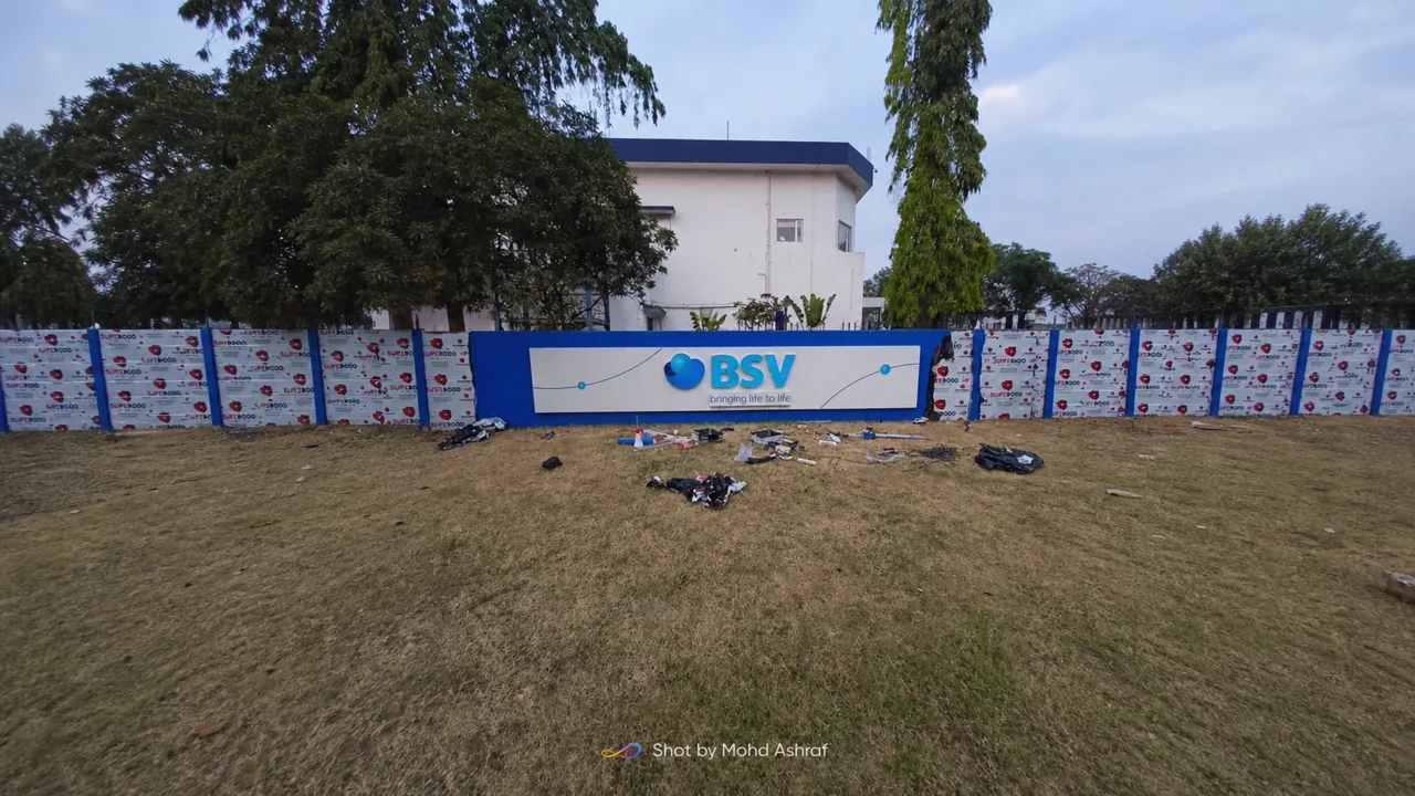 BSV signage, detail 18
