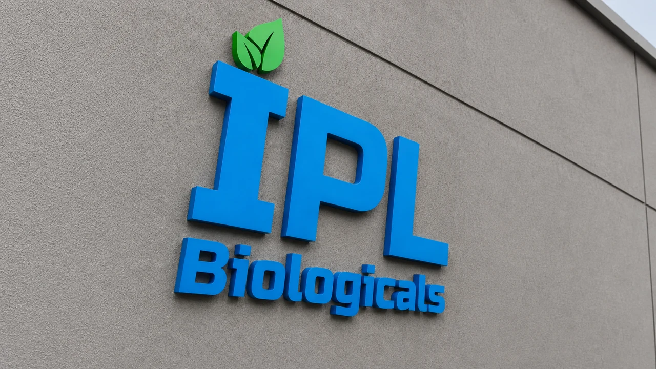IPL signage, installed view
