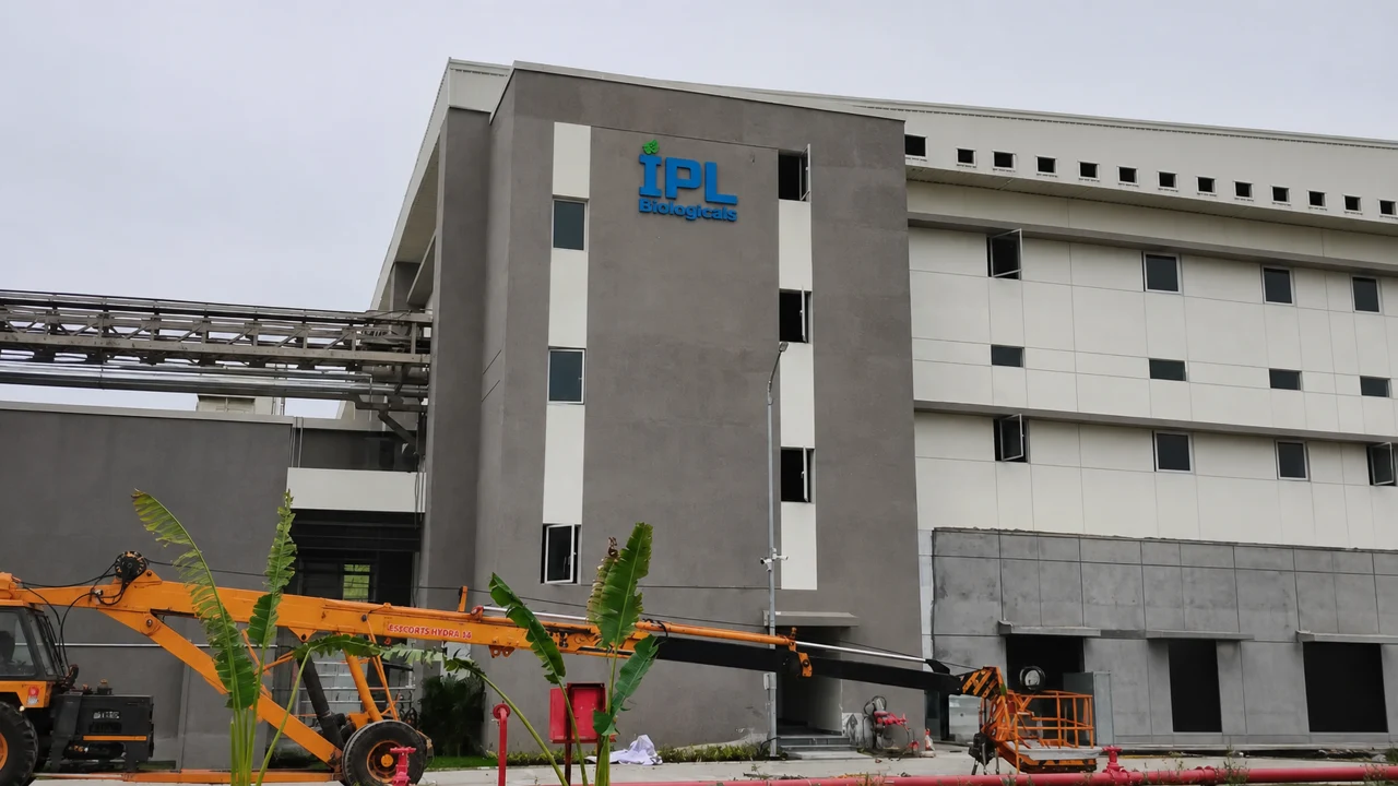 IPL signage, detail 2