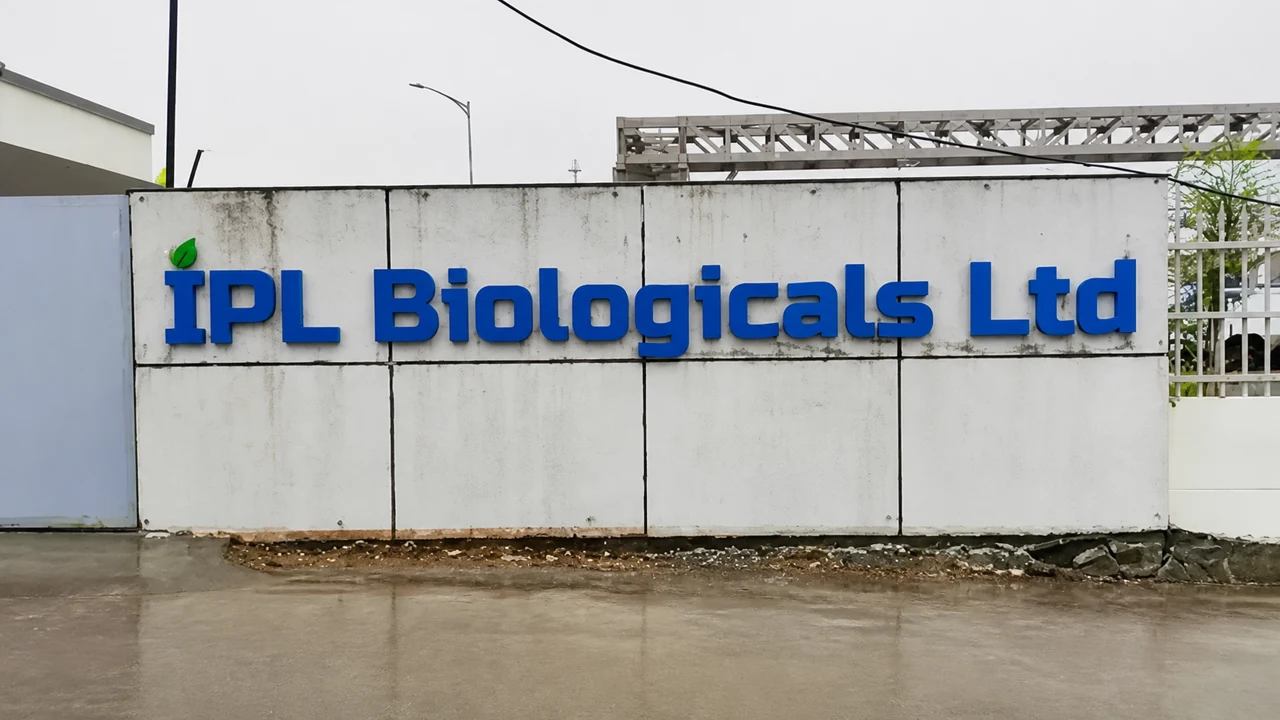 IPL signage, detail 4